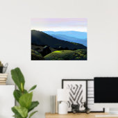 Testplaats van de kolibrie poster (Thuiskantoor)