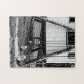 Testswingen Legpuzzel (Horizontaal)