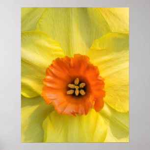 Tête à tête poster