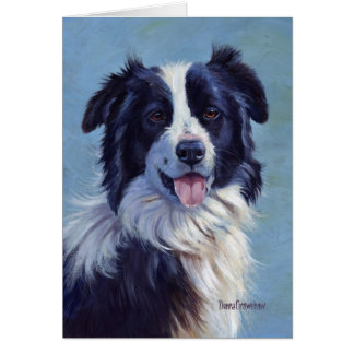 Tête de border collie