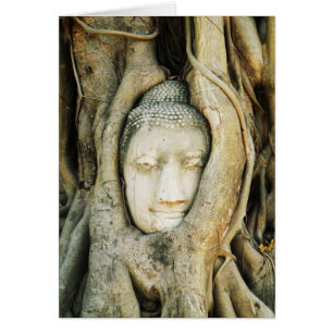 Tête de Bouddha dans le figuier. Ayutthaya,