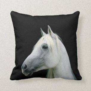 TÊTE DE CHEVAL BLANC SUR LE COUSSIN NOIR DE