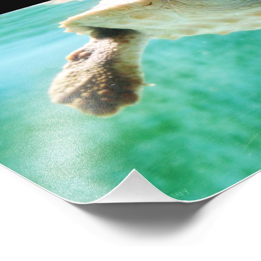 Tête de journal #3 Photo (Coin)