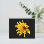 Tête de la marguerite jaune Helenium carte postale (Debout devant)
