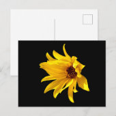 Tête de la marguerite jaune Helenium carte postale (Devant / Derrière)
