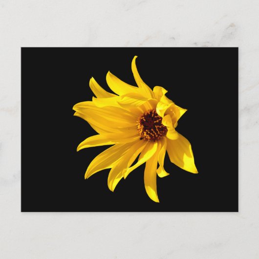 Tête de la marguerite jaune Helenium carte postale (Devant)