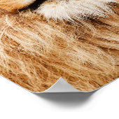 Tête de lion Impression (Coin)