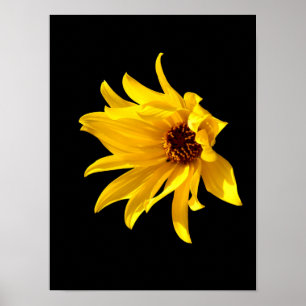Tête de marguerite jaune Helenium Affiche