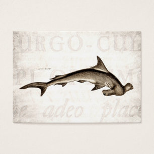 Tête de marteau vintage de requin de