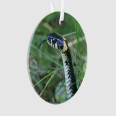 Tête de serpent (devant)