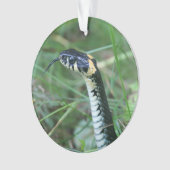 Tête de serpent (devant)