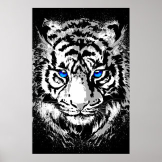 Tête de tigre blanc de Sibérie - Affiche de tigre