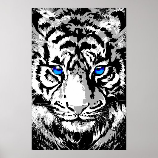 Tête de tigre blanc de Sibérie - Tiger Poster Blue (Devant)