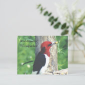 Tête rouge, Carte postale Pic (Debout devant)