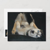 Tête sur les cartes postales Heures (Devant / Derrière)