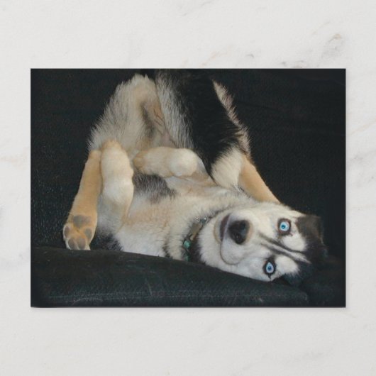 Tête sur les cartes postales Heures (Devant)