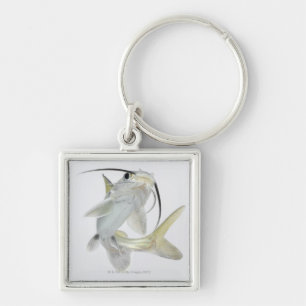 Tete zeeen (Hexanematichthys seemanni) Sleutelhanger