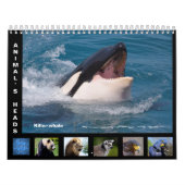 Têtes d'animal calendrier 12 mois (Protection)
