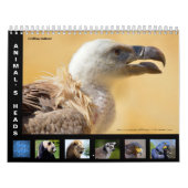 Têtes d'animal calendrier 12 mois (Protection)