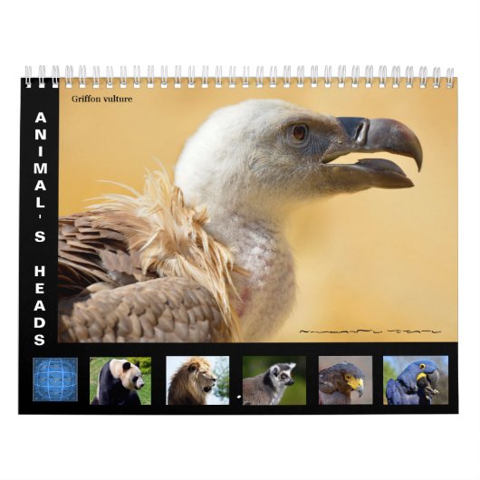 Têtes d'animal calendrier 12 mois (Protection)