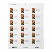 Têtes Jack-o'-lantern avec Étiquette de adresse de (Feuille entière)