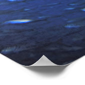 Teth of the Sand Tiger Poster (Hoek)