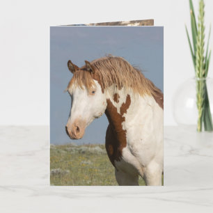 Teton Atteint La Carte De Voeux Wild Horse