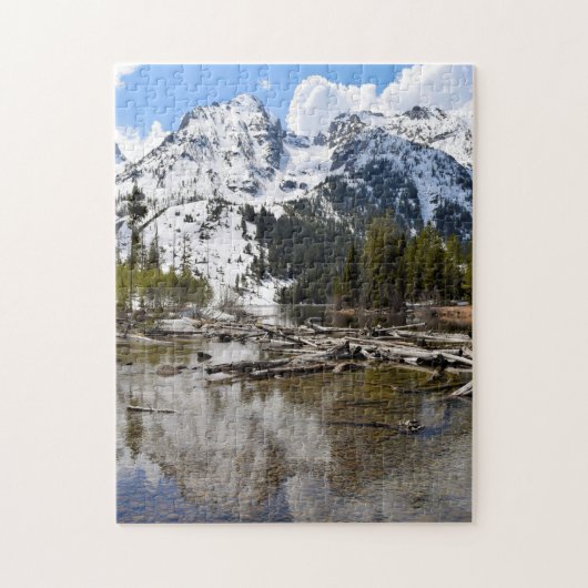 Teton Mountain Stream Reflections - 11x14 - 252 pc Legpuzzel (Verticaal)