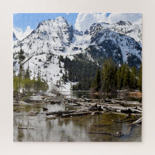 Teton Mountain Stream Reflections - 20x20 - 676 pc Legpuzzel (Verticaal)