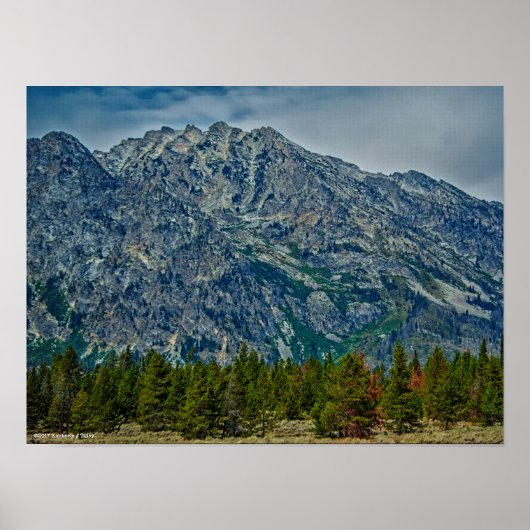 Teton NP 6901 Poster (Voorkant)