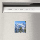 Teton's Magnet Magneet (Insitu (Vaatwasser))
