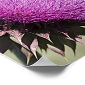 Tetons Thistle Poster (Hoek)