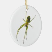 Tetragnathid Spider Christmas Ornament (Rechts)