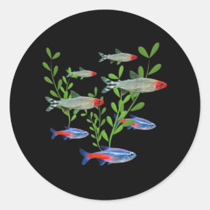 Tetras Aquarium Neon Tetras Rummy Nose Tetras Fish Ronde Sticker
