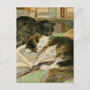 tevreden slaperige pluizige katten aankondigingskaart