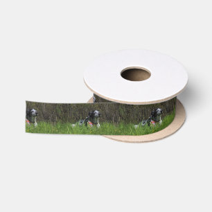 Tevredenheid Lint