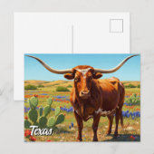 Texaanse langhoorn briefkaart (Voorkant / Achterkant)