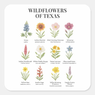 Texaanse wilde bloemen in Waterverf stijl Vierkante Sticker