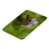 Texan Crescent Butterfly Magneet (Linkerzijde)
