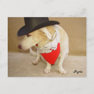 Texan Myrtie Briefkaart