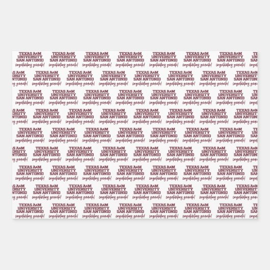 Texas A&M University - San Antonio Inpakpapier Vel (Voorkant)