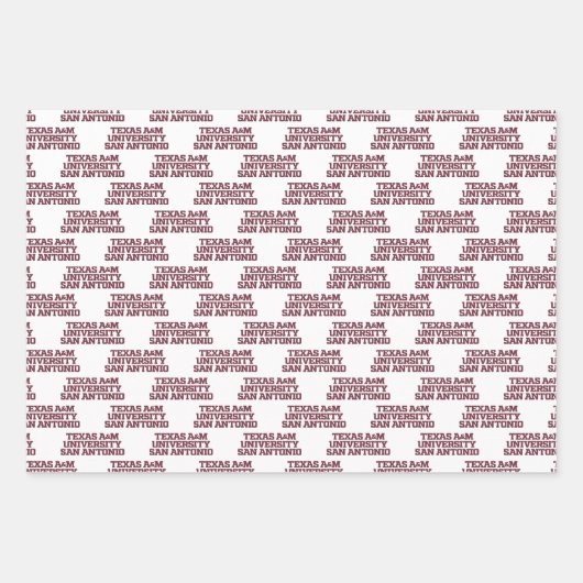 Texas A&M University - San Antonio Inpakpapier Vel (Voorkant 2)