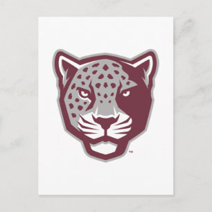 Texas A&M University - San Antonio   Jaguars Briefkaart