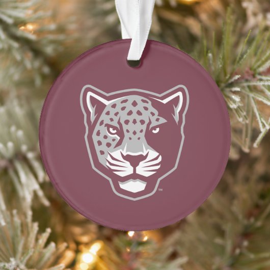 Texas A&M University - San Antonio | Jaguars Ornament (Boom)