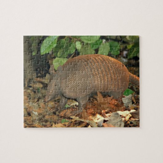 Texas Armadillo Legpuzzel (Horizontaal)