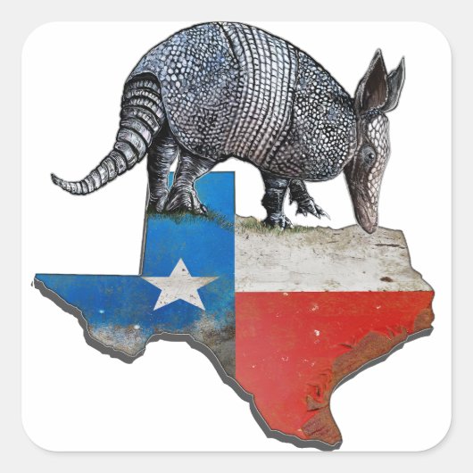 Texas Armadillo Vierkante Sticker (Voorkant)