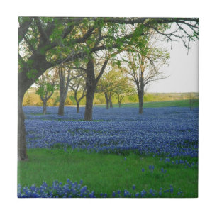 Texas Blue Bonnets Tegeltje
