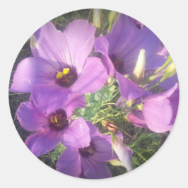 Texas Bluebells Ronde Sticker