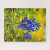Texas Bluebonnet bloem met geel Legpuzzel (Horizontaal)