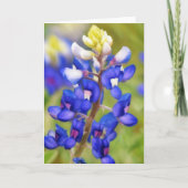 Texas Bluebonnet Blue Flower Art Note Kaart (Voorkant)